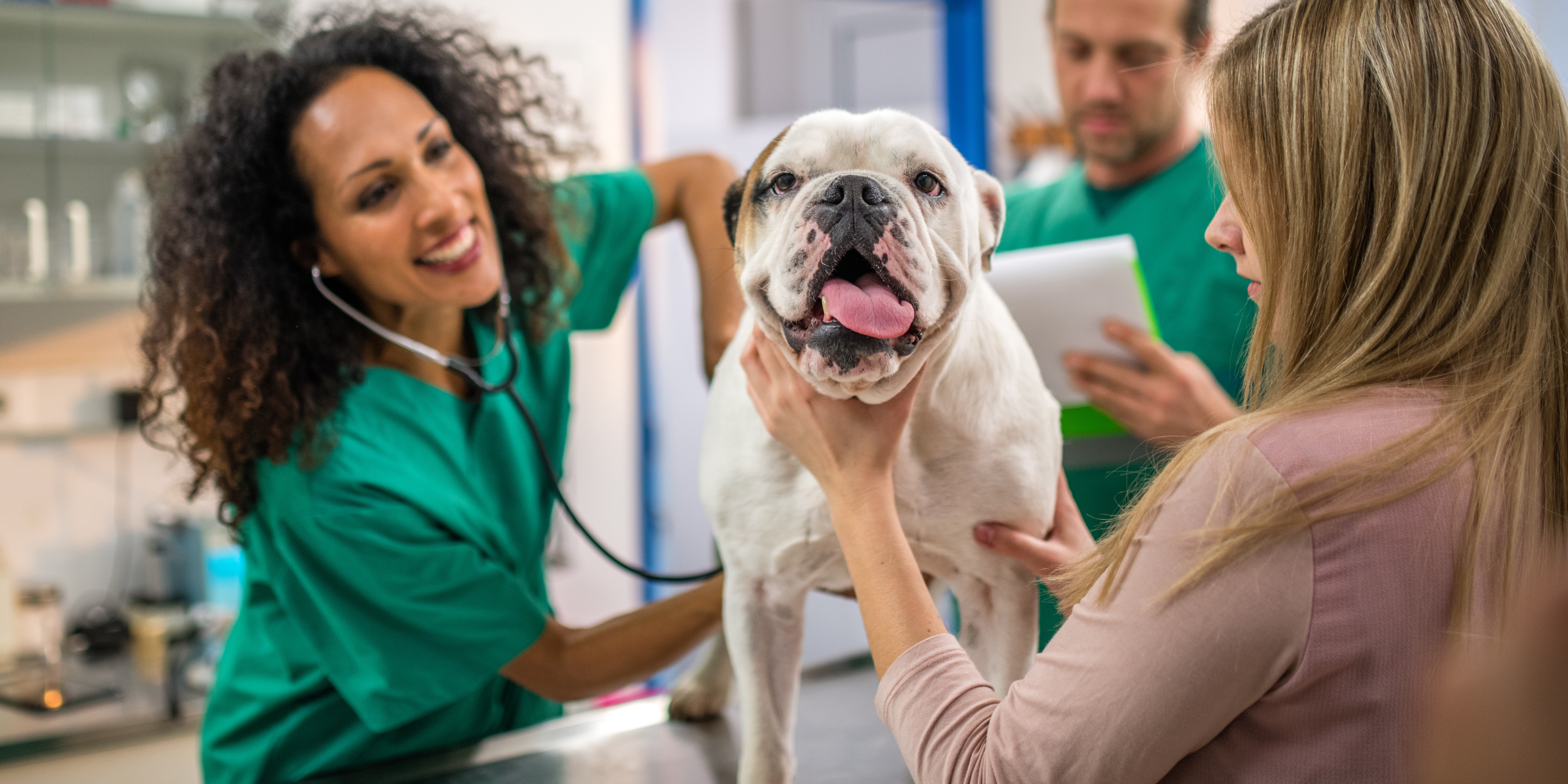 veterinary office insurance